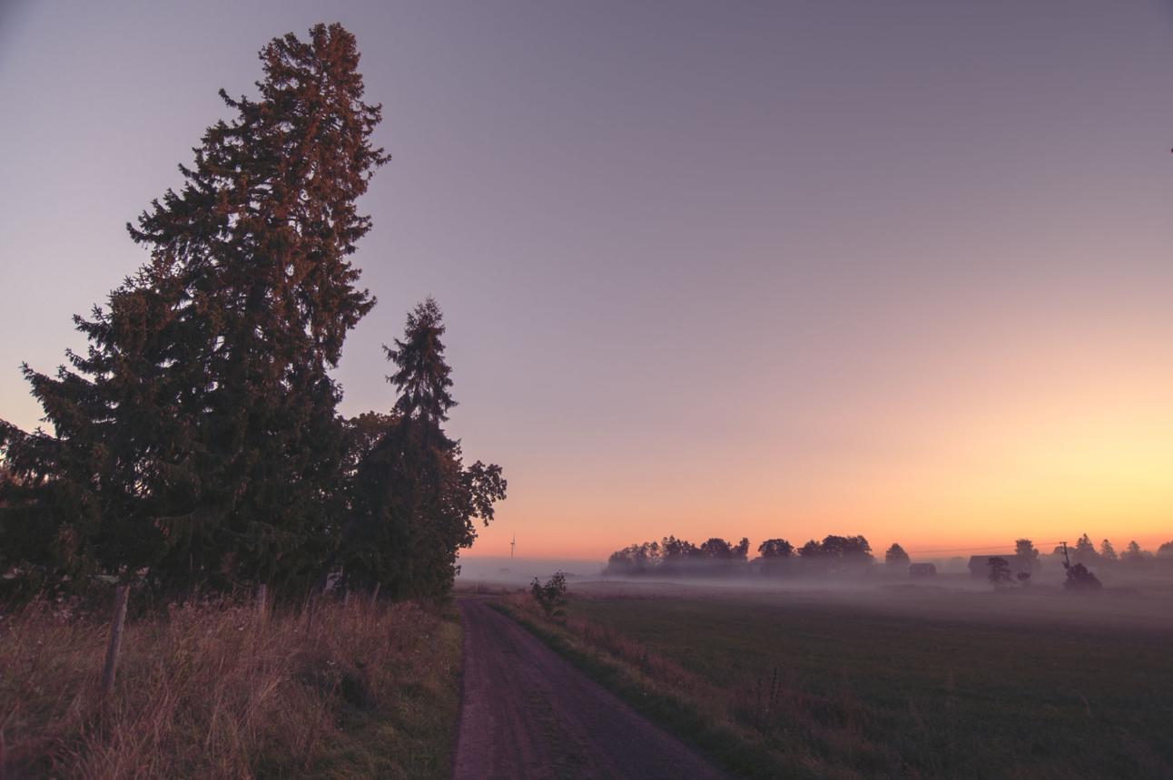 Hur kan du börja minska låggradig inflammation i kroppen?